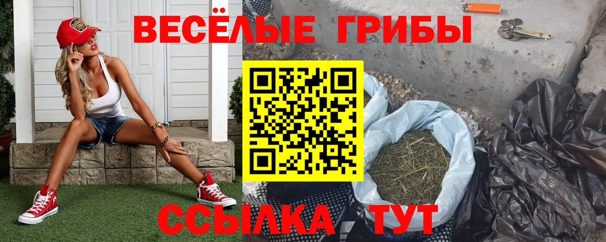 Псилоцибиновые грибы Psilocybine cubensis Коряжма